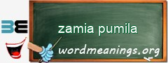 WordMeaning blackboard for zamia pumila